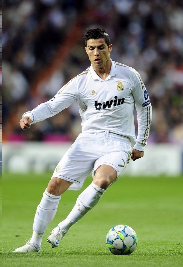 理多特固有 理多特固有